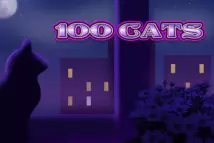 100 Cats